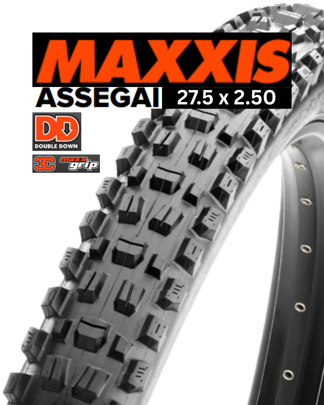 Maxxis Assegai bicycle tire with tread pattern and branding on a white background