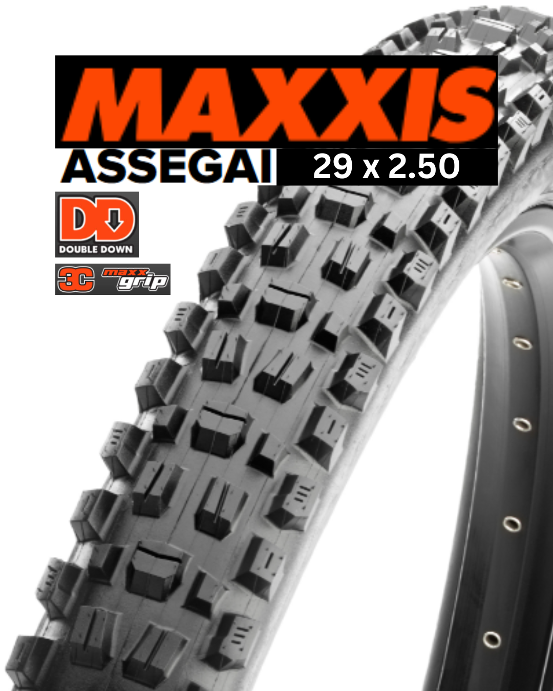 Maxxis Assegai bicycle tire with tread pattern and branding on a white background