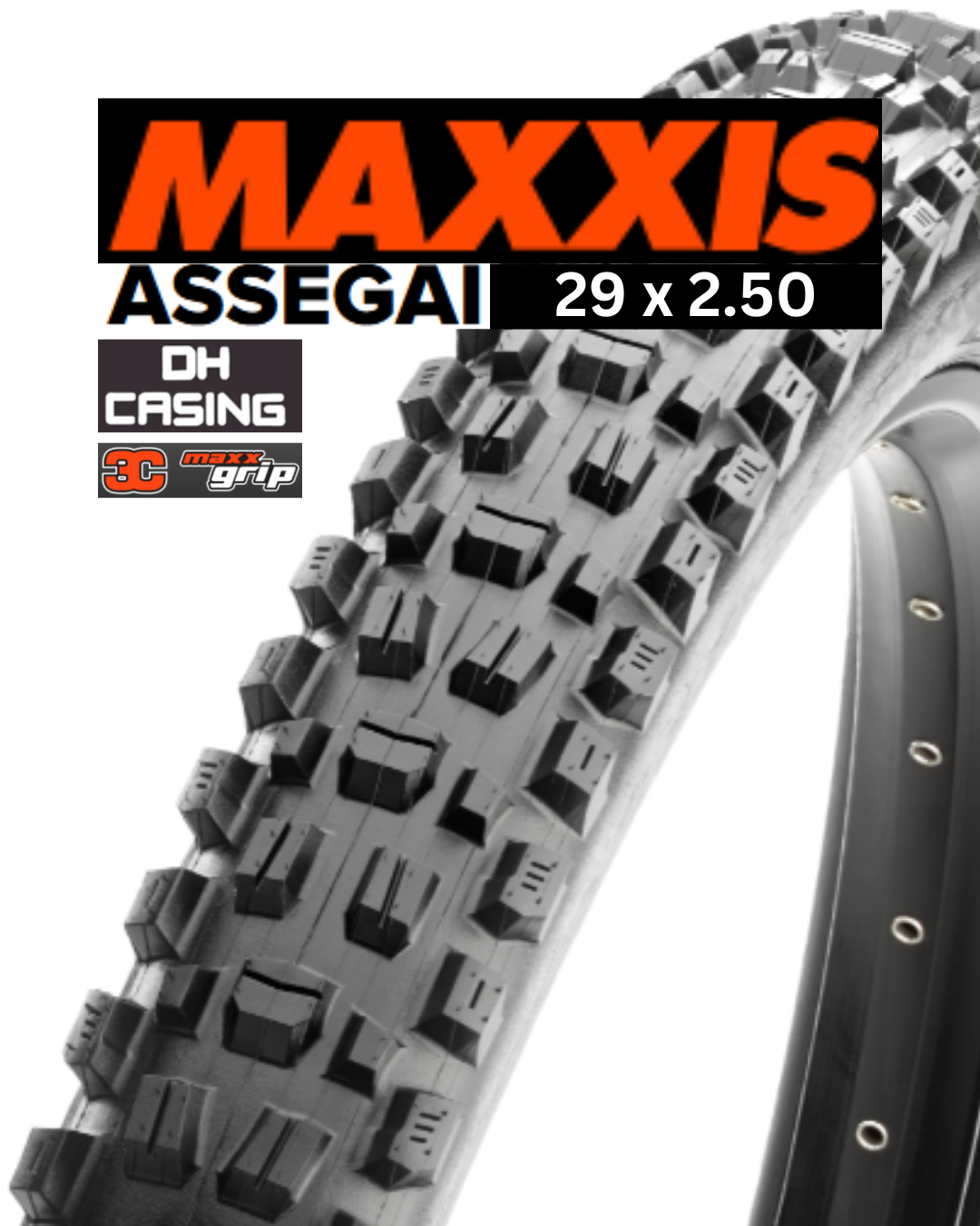 Maxxis Assegai bicycle tire with tread pattern and branding on a white background